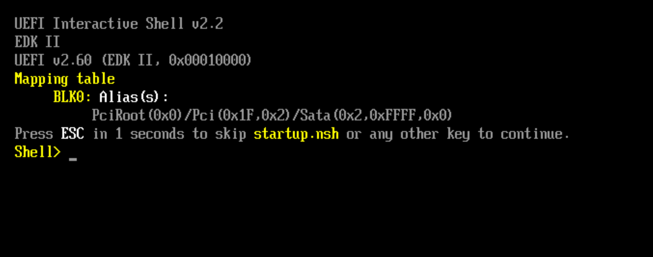 Boot attempt. Interactive Shell.